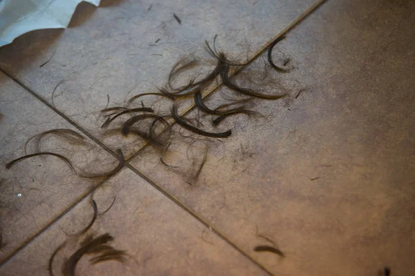 Vlasy na podlaze v kadeřnictví — Stock fotografie