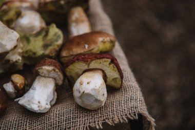 mantar sepeti karışımı