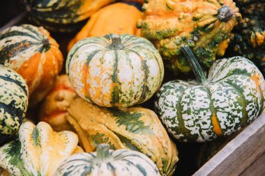 Kabaklar sepeti üzerinde kapat