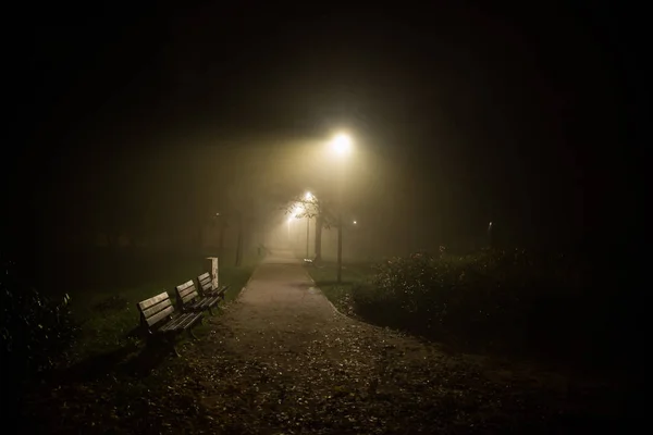Brouillard dans le parc, nuit, mise au point douce, iso élevé, — Photo