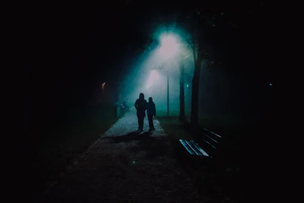 夜、ソフト フォーカス、母で公園で霧のイラストと — ストック写真