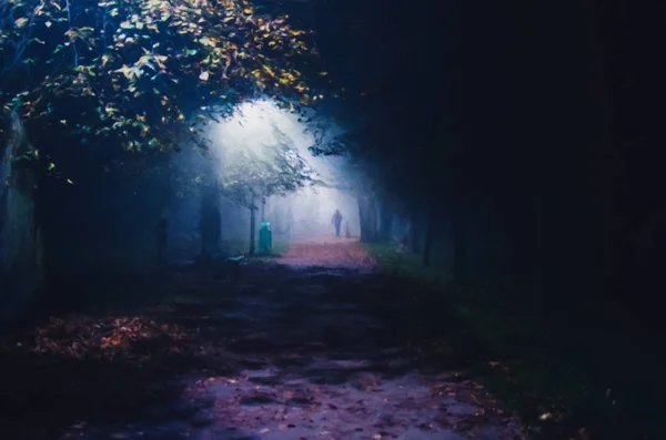 Illustration of fog in the park at night, soft focus, one person — Stock Photo, Image