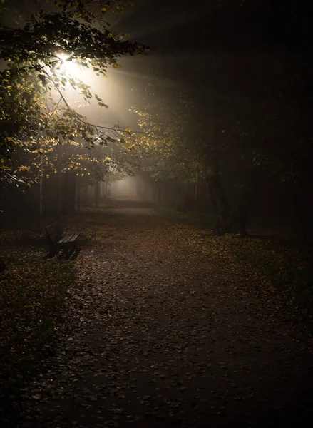 Niebla en el parque, noche, enfoque suave, alto iso, — Foto de Stock