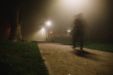 İnsanlar parkta, gece ve yoğun siste hareket bulanıklığı yaşıyor.