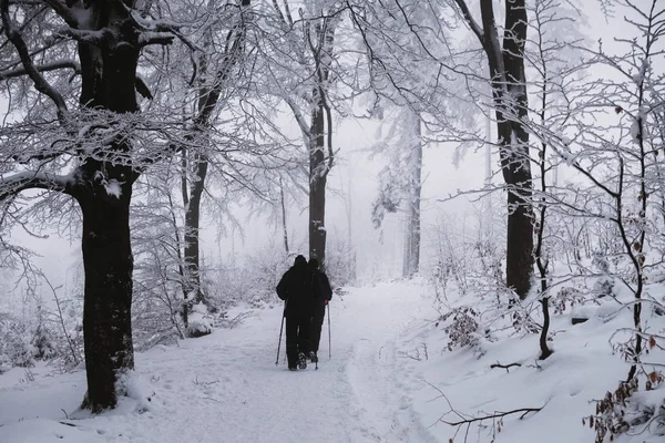 Camino Bosque Con Dos Personas Invierno Nieve — Foto de Stock