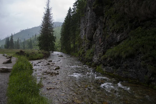 Petit ruisseau dans la vallée de Koscielisko, montagnes Tatra, Polan — Photo
