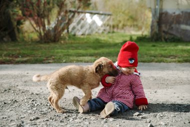 Bebek bir köpek yavrusuyla oynuyor.