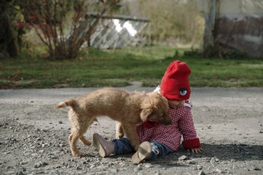 Bebek bir köpek yavrusuyla oynuyor.