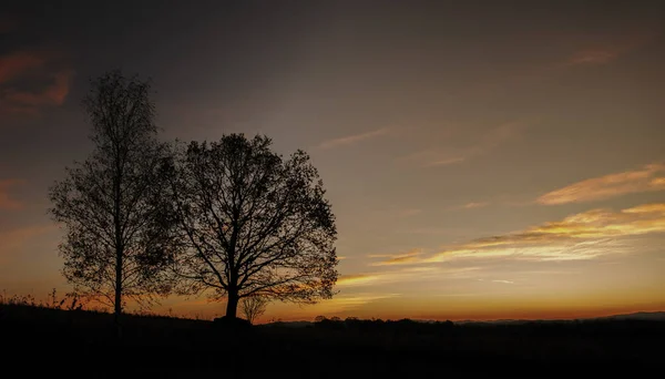 Sunrise on the meadow with hills in background and tree in focus — 스톡 사진