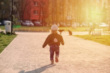 Çocuk parktaki köpeklere koşuyor, güneş ışığı...