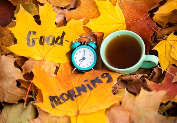 Taza de café en una mañana de otoño —  Fotos de Stock