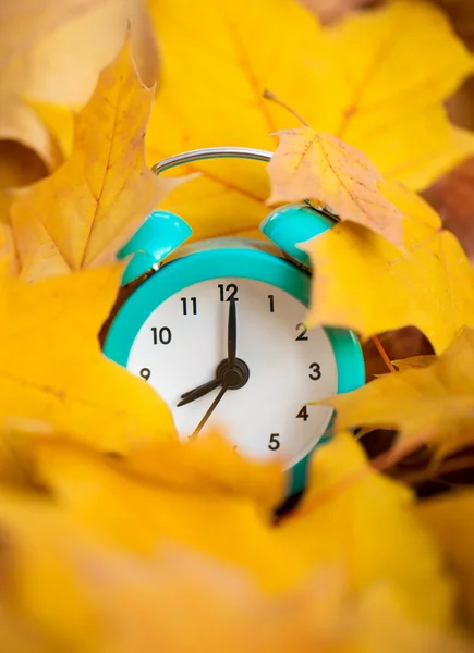 Escena de otoño. Taza de café y reloj —  Fotos de Stock