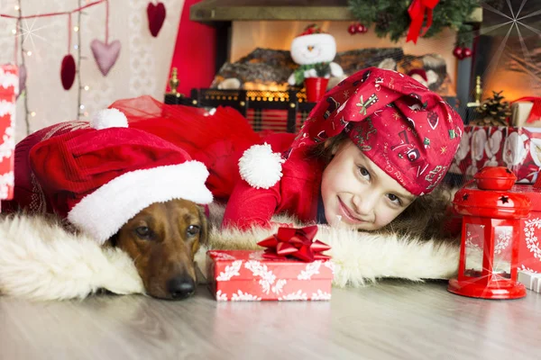 Husky bedeni üzerinde bir köpek ile bir Noel şapkalı küçük kız oturur — Stok fotoğraf