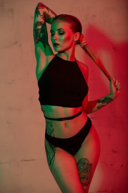 Saçlarını düzelten, iç çamaşırlı seksi sarışın bir kızın portresi.