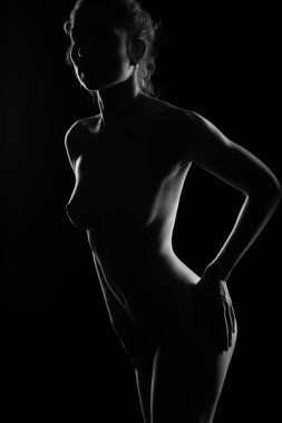 Çıplak, uzun saçlı, güzel vücutlu bir kadının silüeti. Siyah beyaz erotik stüdyo fotoğrafı..