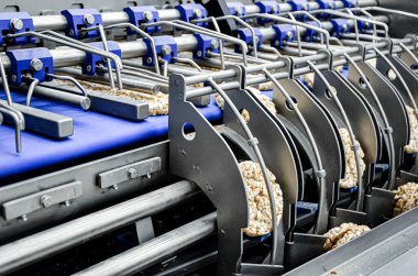 Kullanışlı tam tahıllı Çıtır Ekmek üretimi için taşıma bandı