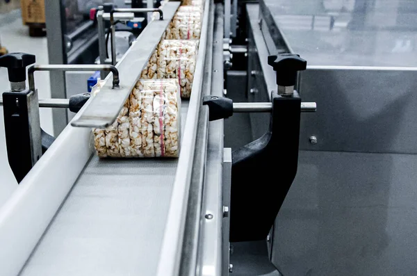 transportation from one process to another on food production line. Modern equipment food industry