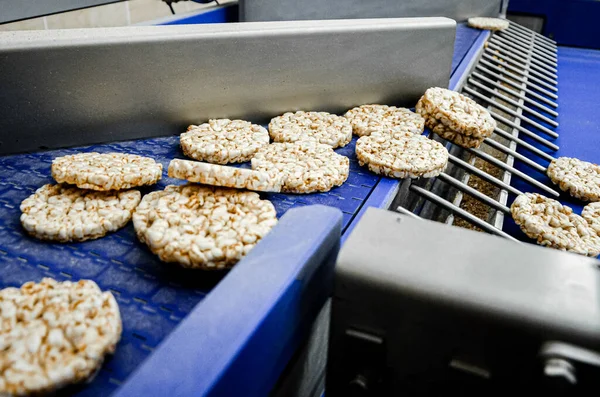 Transporte Proceso Otro Línea Producción Alimentos Equipamiento Moderno Industria Alimentaria — Foto de Stock