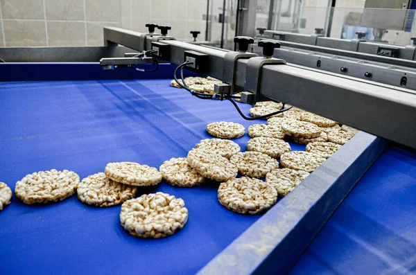 Transporte Proceso Otro Línea Producción Alimentos Equipamiento Moderno Industria Alimentaria — Foto de Stock