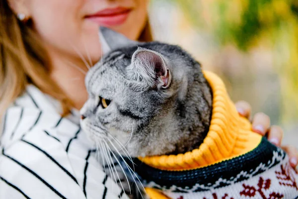 Niña Sonrisa Otoño Parque Sostiene Gato Suéter Sus Brazos Mira — Foto de Stock