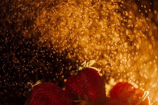 Fresas Maduras Jugosas Rojas Sobre Fondo Negro Gotas Agua Sol —  Fotos de Stock