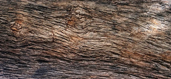 Partie du tronc d'un vieil olivier avec écorce recouverte d'un motif de fissures — Photo