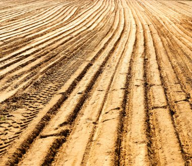 İnşaat alanının kumlu yüzeyi buldozerler, kazıyıcılar ve diğer toprak hareket ekipmanlarıyla dolu.