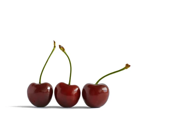 Três cerejas doces maduras — Fotografia de Stock