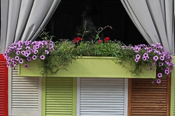 Деревянный цветочный горшок с цветами на окне. Поверхность для надписи, фон — стоковое фото