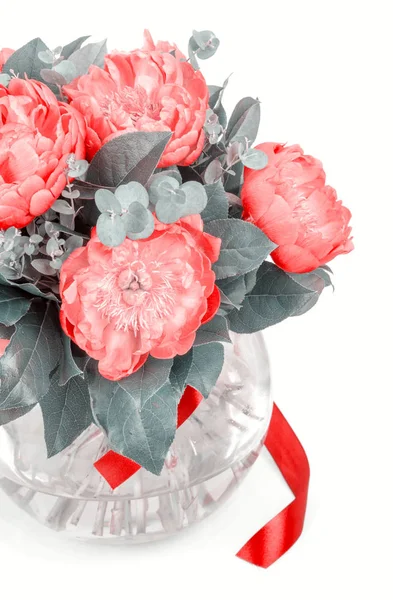 白地にピンクのパイ中間子の素晴らしい花束 — ストック写真