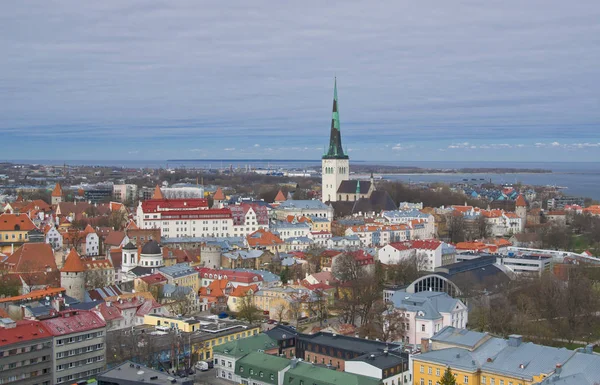 Panoramic view of old city of Tallinn — Stock Photo, Image