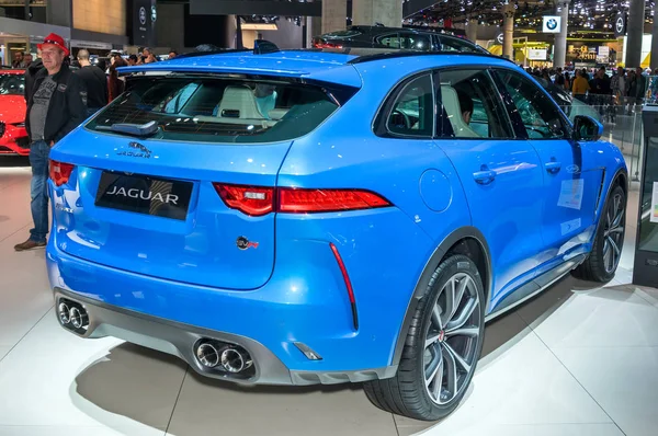 157 F Pace Stock Photos Free Royalty Free F Pace Images Depositphotos