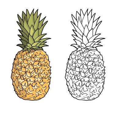 İzole edilmiş ananas. Grafik şekillendirilmiş çizim. Vektör çizimi. Siyah ve beyaz