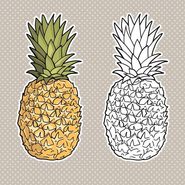 Isolated Pineapples Graphic Stylized Drawing Vector Illustration Black White — Stock Vector