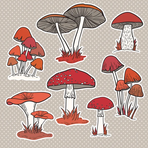 Vectorset Van Met Hand Getekende Paddenstoelen — Stockvector