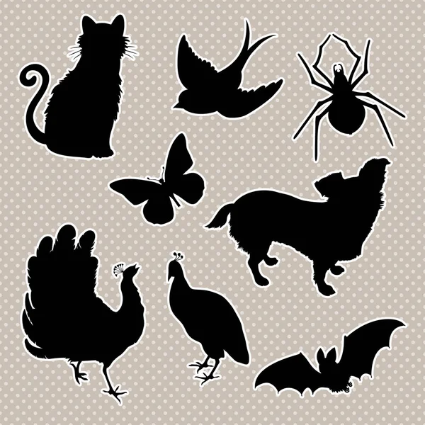 Vektorset Der Tiersilhouetten Katze Vogel Spinne Schmetterling Hund Pfau Fledermaus — Stockvektor