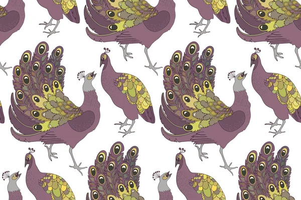 孔雀的病媒无缝图案 — 图库矢量图片