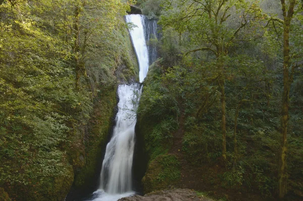 Gelin peçe Falls-Oregon — Stok fotoğraf