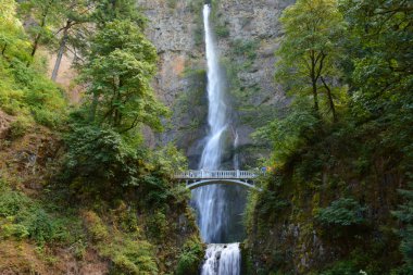 Çalışma - Columbia River Gorge Multnomah Falls