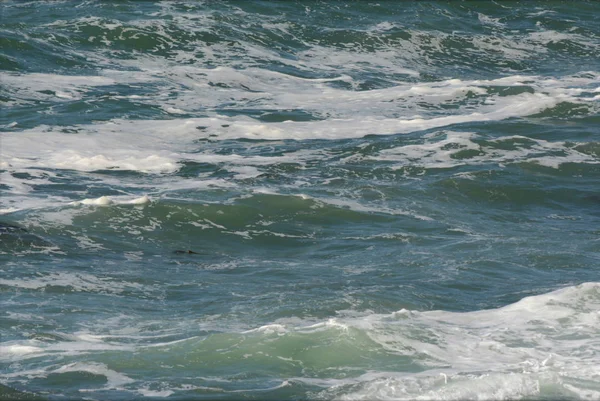 Det rastløse Stillehavet - Oregon Coast – stockfoto