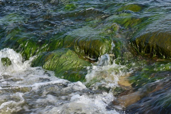 Riffles fluindo sobre rochas musgosas — Fotografia de Stock