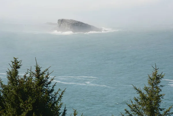 Rock, Fog and Evergreens - Oregon Coast — Stock Photo, Image