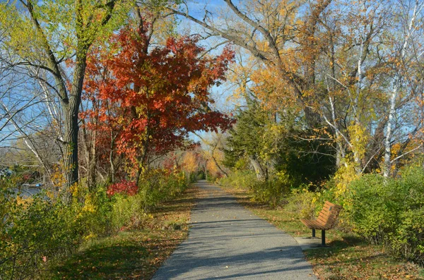 Herbstfärbung im schattigen Eichenpark - Central Minnesota — Stockfoto