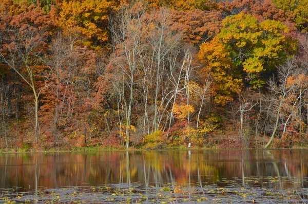 Follaje de otoño reflexiones en el lago Sunfish —  Fotos de Stock