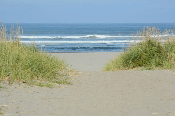 Vista de la mañana desde la playa - Oregon — Foto de Stock
