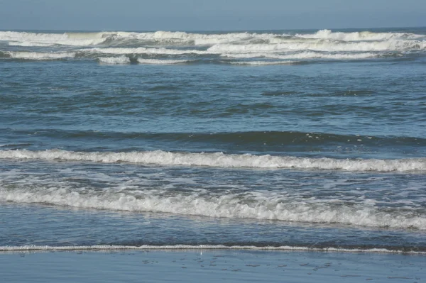 Animazione delle onde del Pacifico settentrionale - Costa dell'Oregon — Foto Stock
