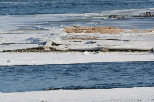 Rivière Mississippi supérieure - couches de glace et de neige — Photo