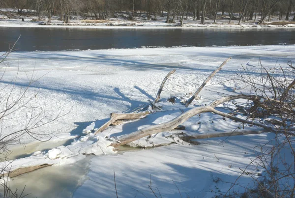 Estudio de madera a la deriva del río de invierno — Foto de Stock