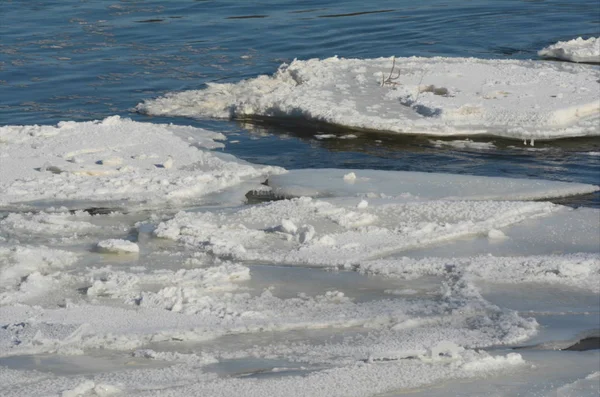 Isflak på övre floden Mississippi - centrala Minnesota — Stockfoto