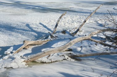 Mississippi Nehri dalgaların karaya attığı odun perspektif - Minnesota